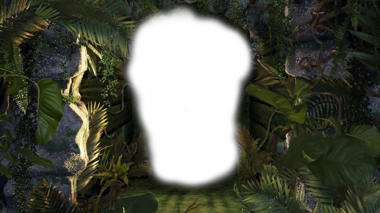 67