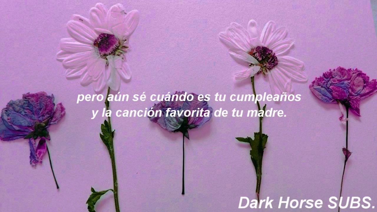 Sorry (Cover) - Halsey | Español