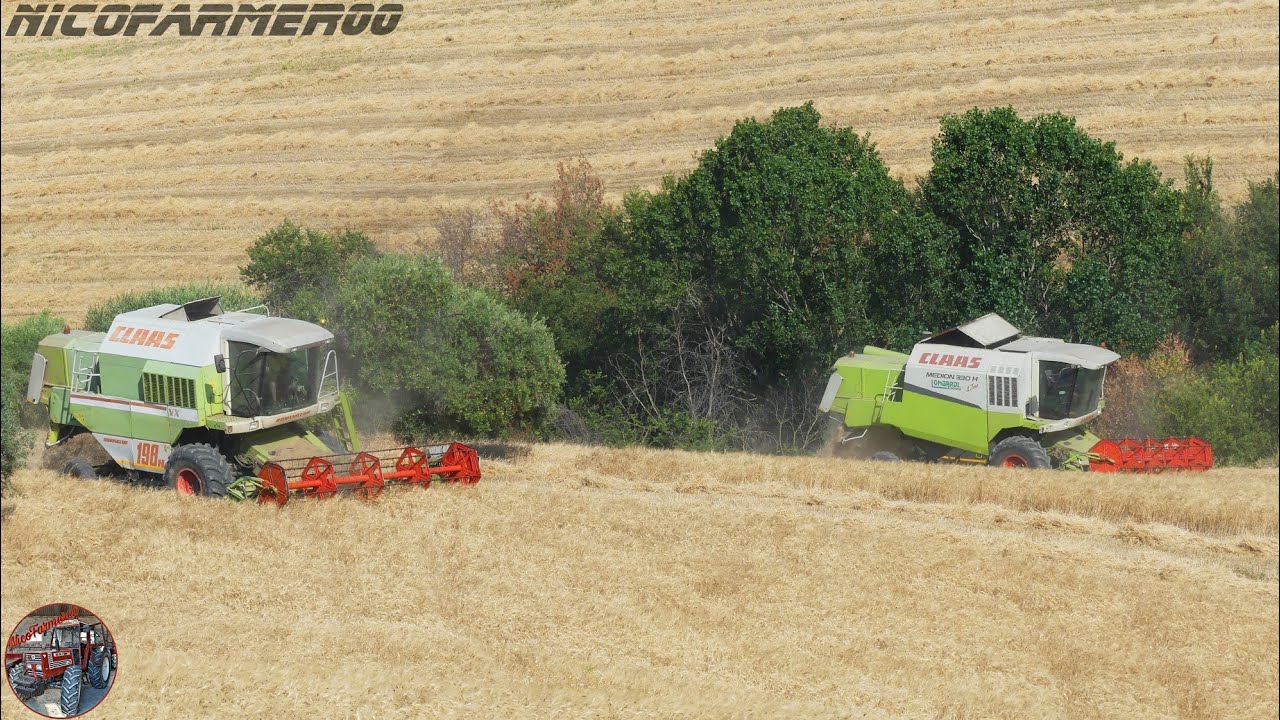 100% HARVESTING ONLY CLAAS | CLAAS MEDION 330H 4-Trac + CLAAS DOMINATOR VX 198H + 2× CLAAS C510
