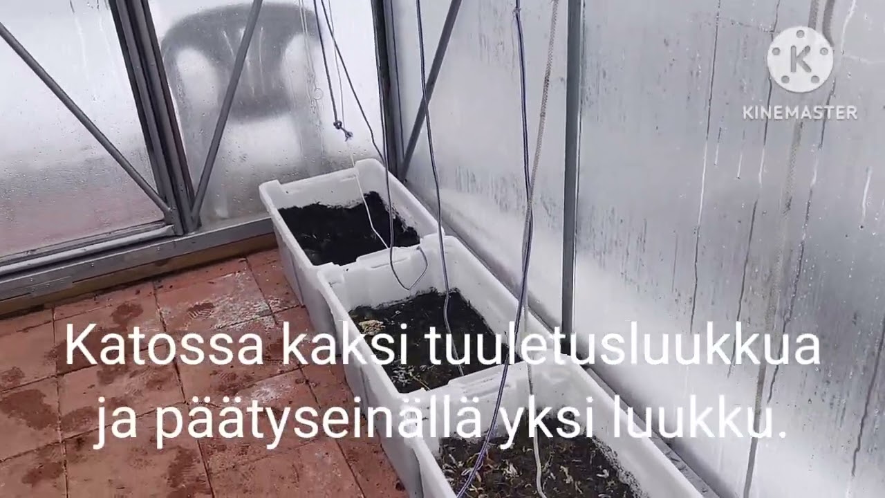 Kasvihuoneen laittoa ja esittely.