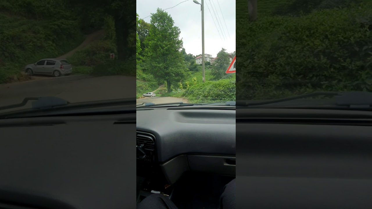 Rize pazar melyat
