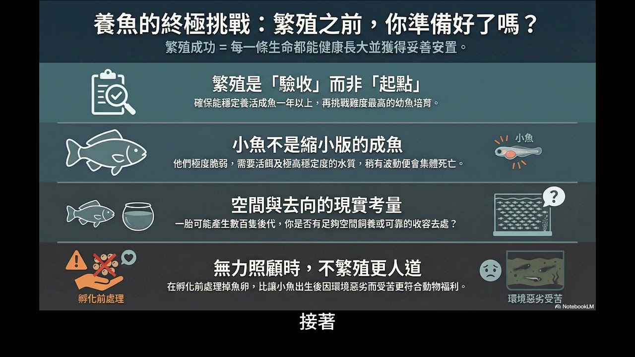 [水族大大不要聽]S2Ep49為什麼就算孔雀魚隔離了還是一直生以及繁殖魚隻前的心理準備