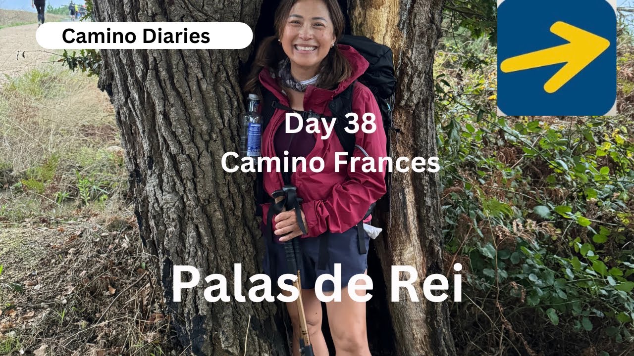 День 38 | Портомарин в Палас-де-Рей | #FrenchCamino | #СантьягоКамино