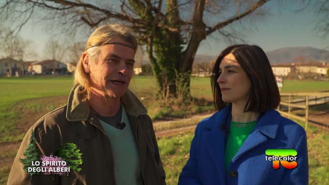 Lo Spirito degli alberi: testimoni del tempo, il bagolaro a Badia (BS) 18.03.2022