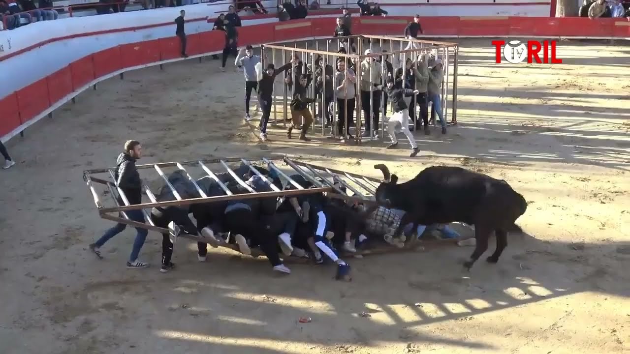 Impressionnant - MONTFRIN - COURSE AU PLAN 11.12.2021