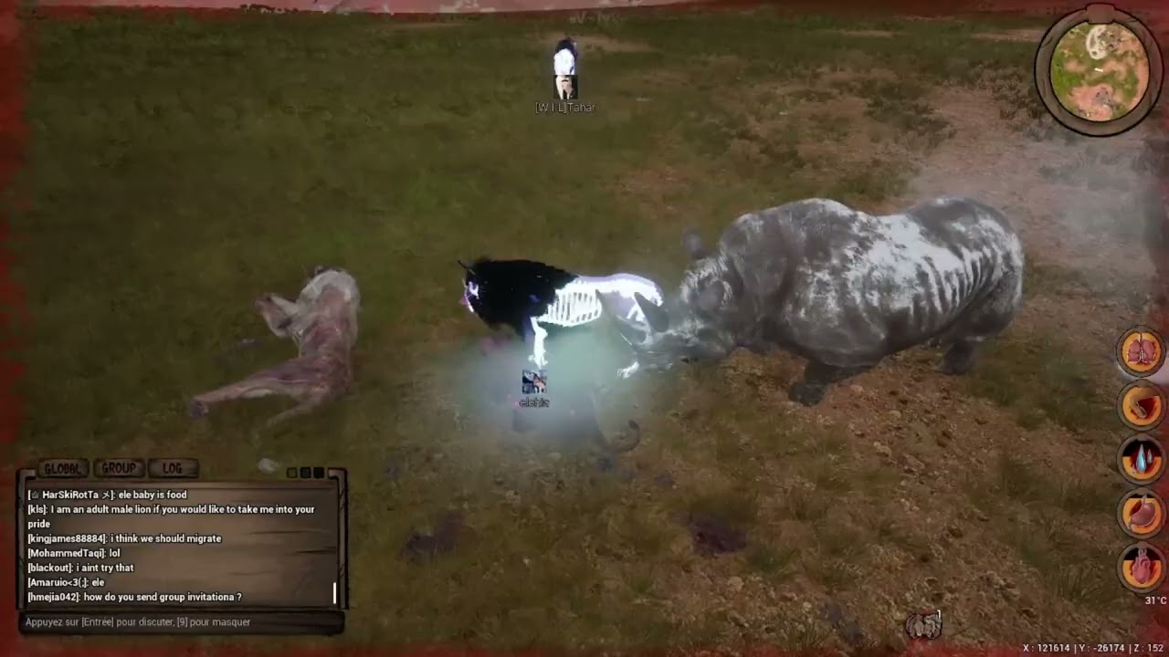 The lion's suffering with the rhinoceros never ends