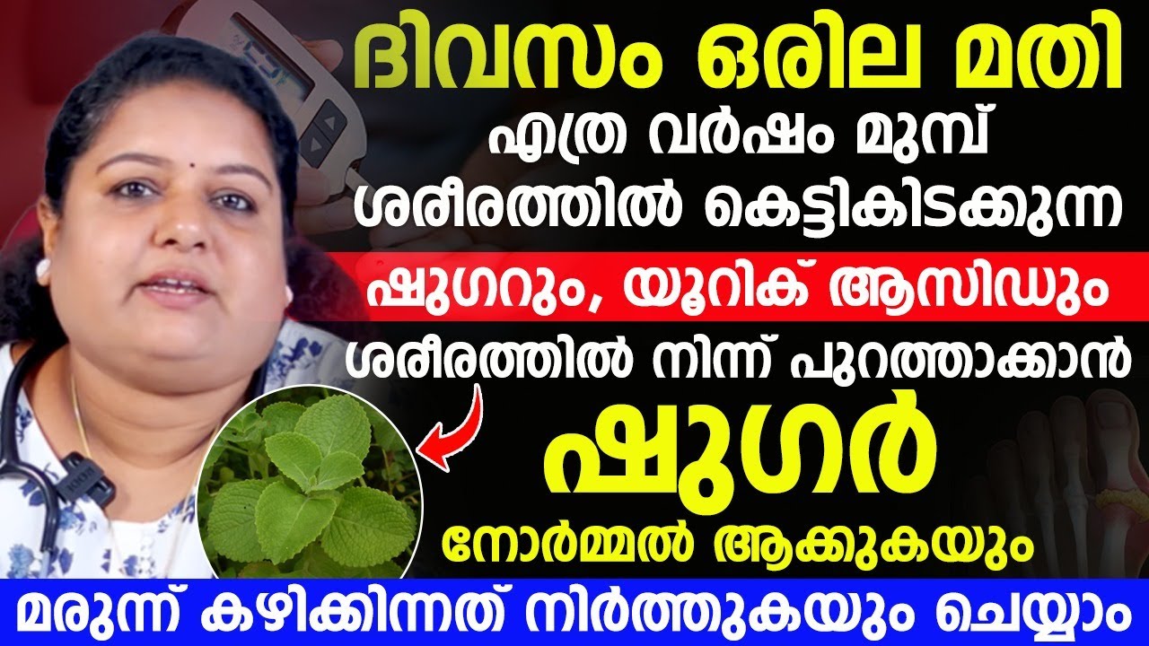ഷുഗർ യൂറിക് ആസിഡ് മരുന്നില്ലാതെ കുറയാൻ ദിവസവും ഈ ഒരില കഴിച്ചാൽ മതി