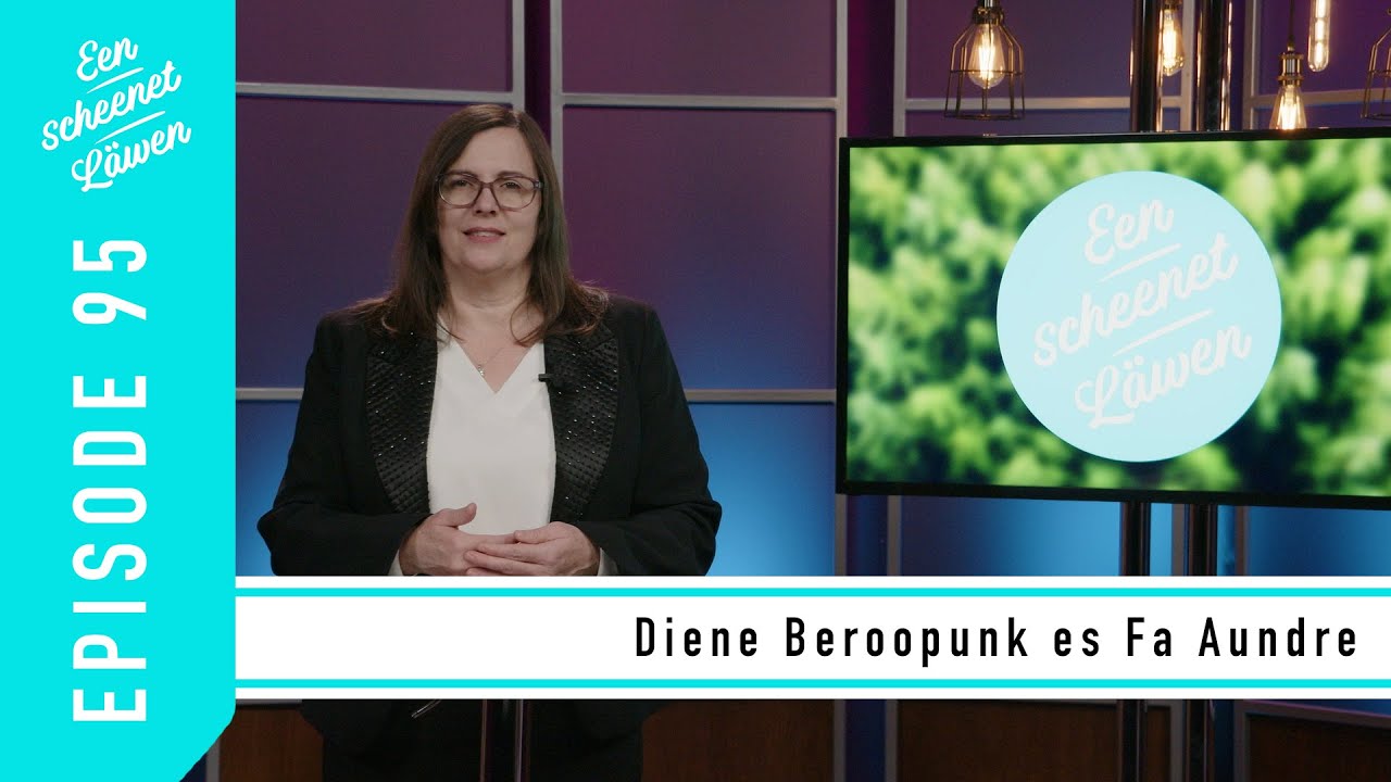 Diene Beroopunk es Fa Aundre