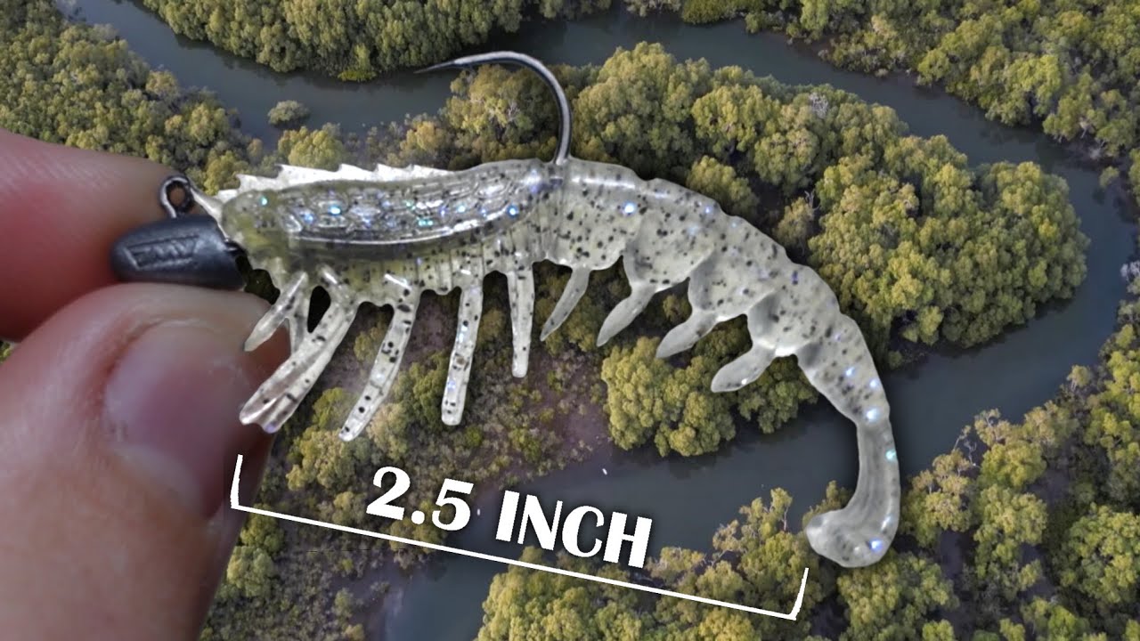 the best NEW LURE for the urban creeks | little lure catches everything!