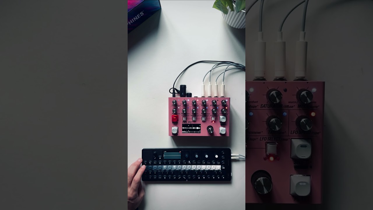 Endorphines Evil Pet Ambient Exploration