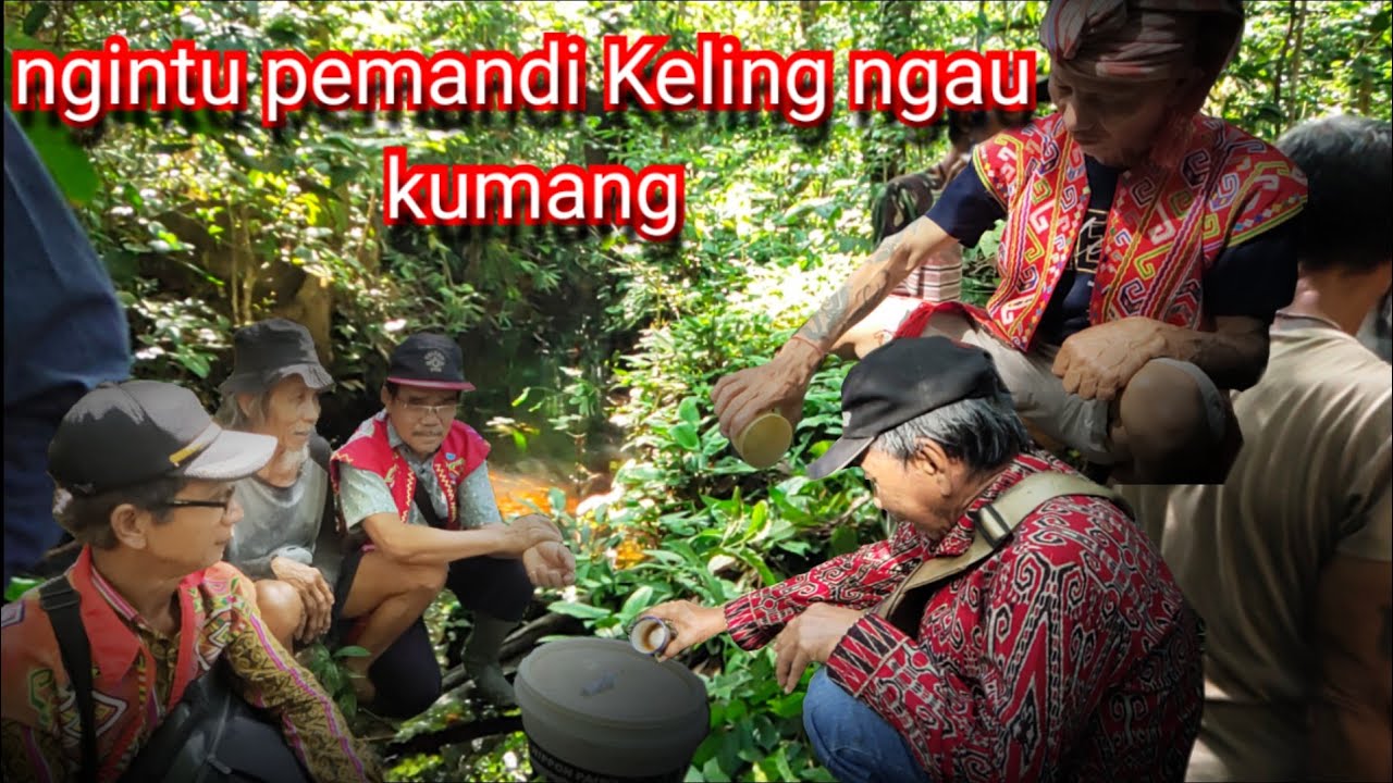 NGINTU PEMANDI KELING NGAU KUMANG DI SUNGAI UTIK 😲😲 || upacara adat suku Dayak iban °kumangmenua09