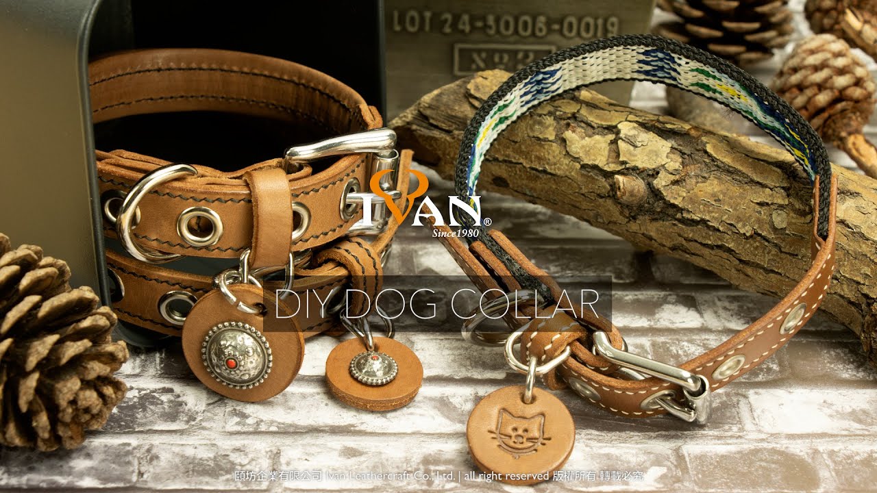 Leather Project: DIY Dog Collars