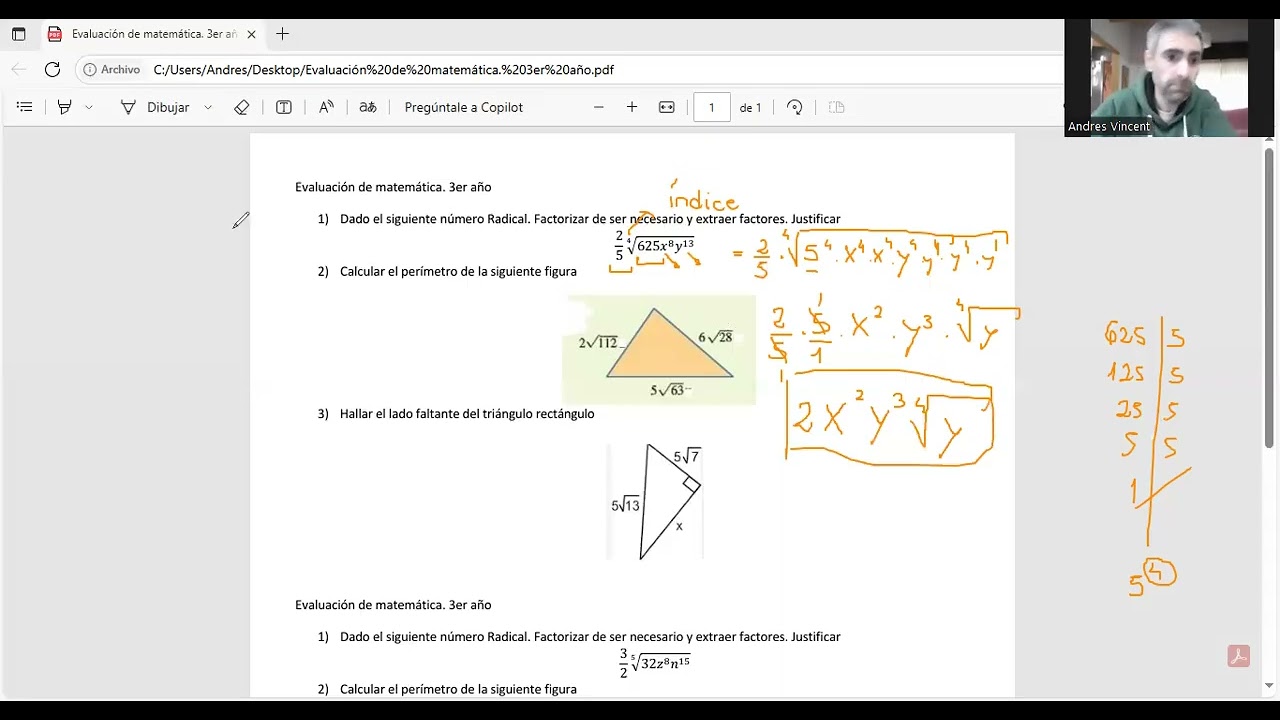 examen 3er año. Radicales