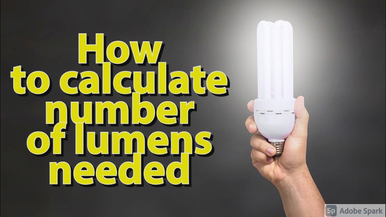 How To Calculate Number Of Lumens Needed For Your Garage - Project DIY