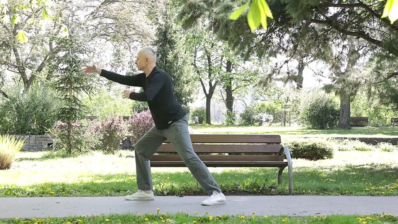 Yang Family Tai Chi Forma,  88 Mozdulat Bemutatása | Yang Family Taiji Quan Six Section Big Frame 88