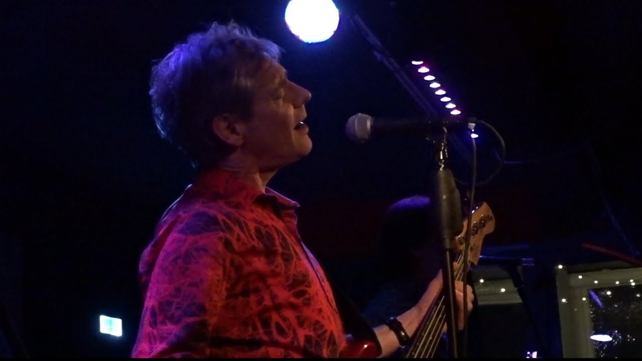 The Fleshtones LIVE 