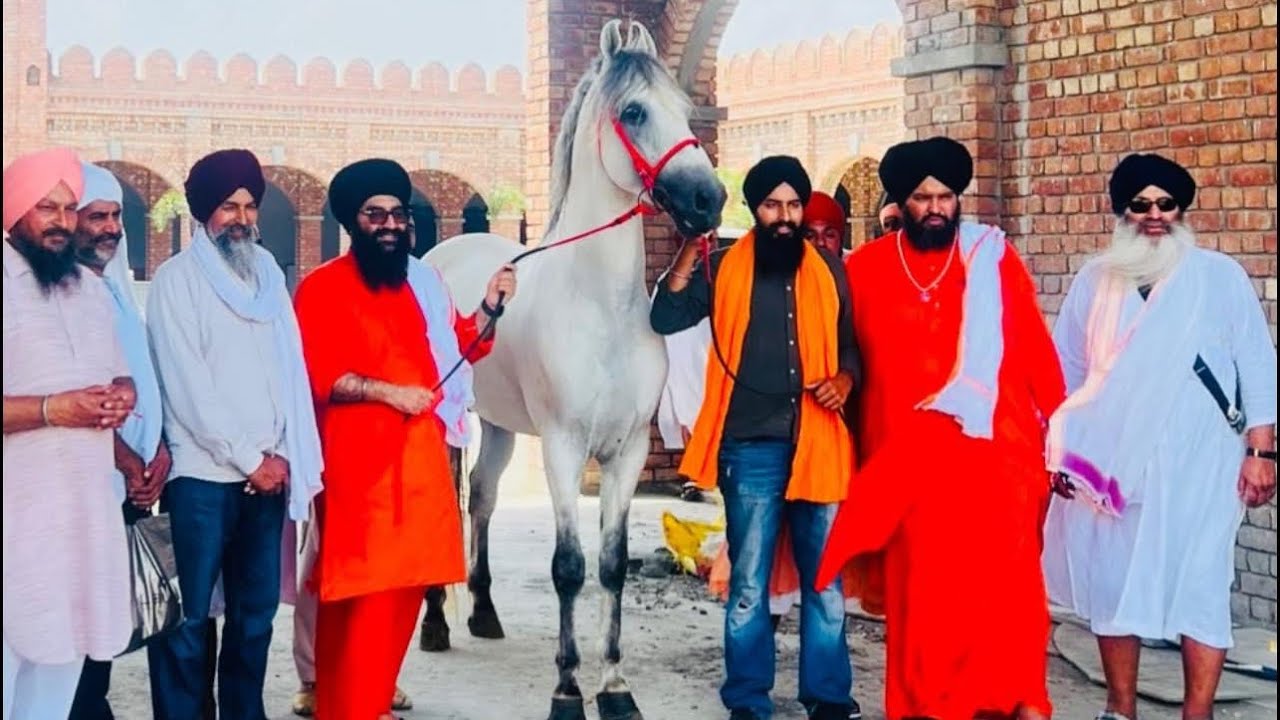 🌸 UDASIN STUD FARM 🌸 UDASIN BHARM AKHARA SAHIB MANDI 🙏 Sant Baba Gurvinder Singh JI Mandi Wale🌺