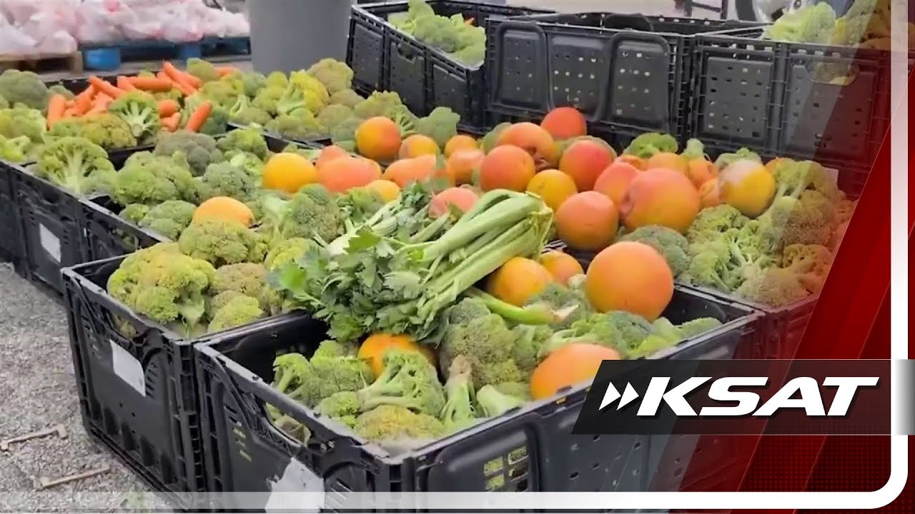 SAISD, San Antonio Food Bank team up to feed 800 families ahead of spring break