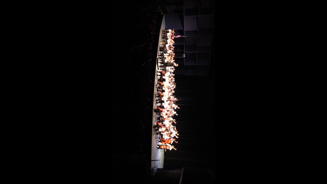2012 CCSD Honor Orchestra Brandenburg Concerto No. 2