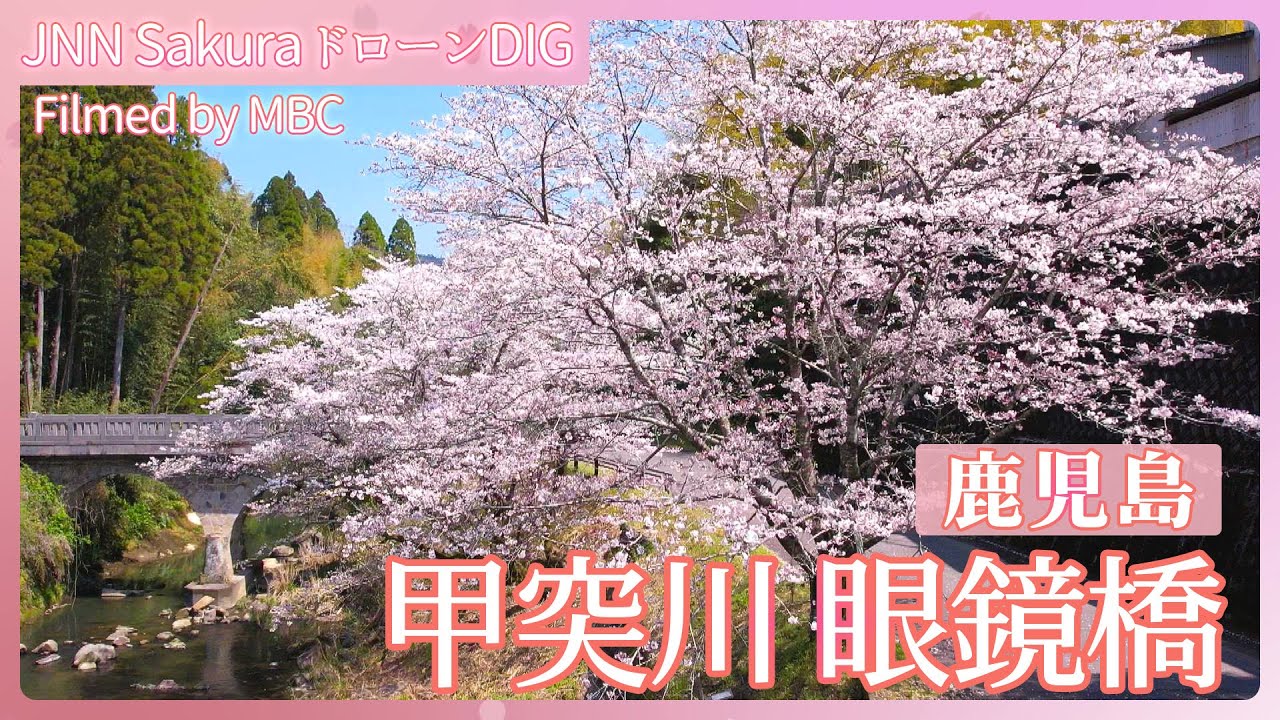 「甲突川の眼鏡橋と桜」【JNN sakuraドローンDIG 2025】