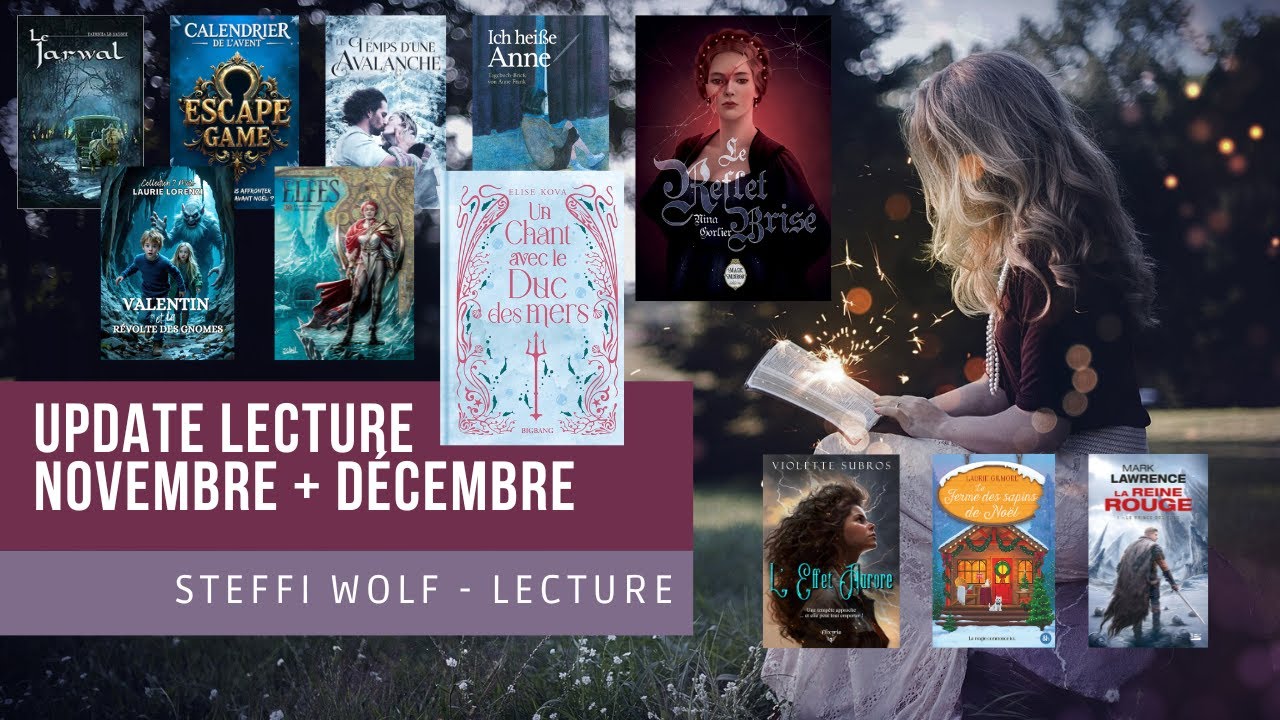 Update Lecture Novembre - Décembre | Abandon, déception et quasi coup de cœur !
