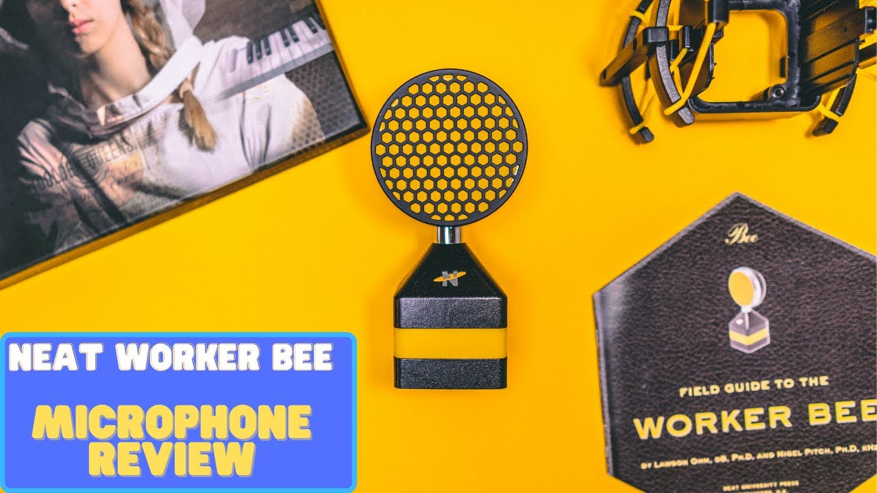 NEAT Worker Bee Microphone Review - The Best Budget Condenser Microphone?