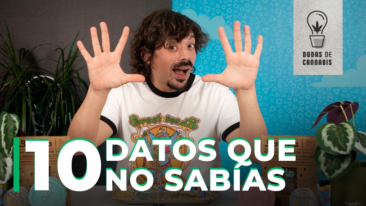 COSAS QUE SEGURO NO SABÍAS DEL C*NNABIS