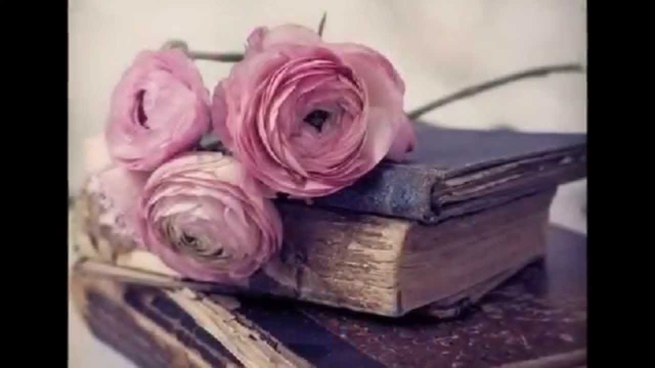 Dreams- Georg Gänswein