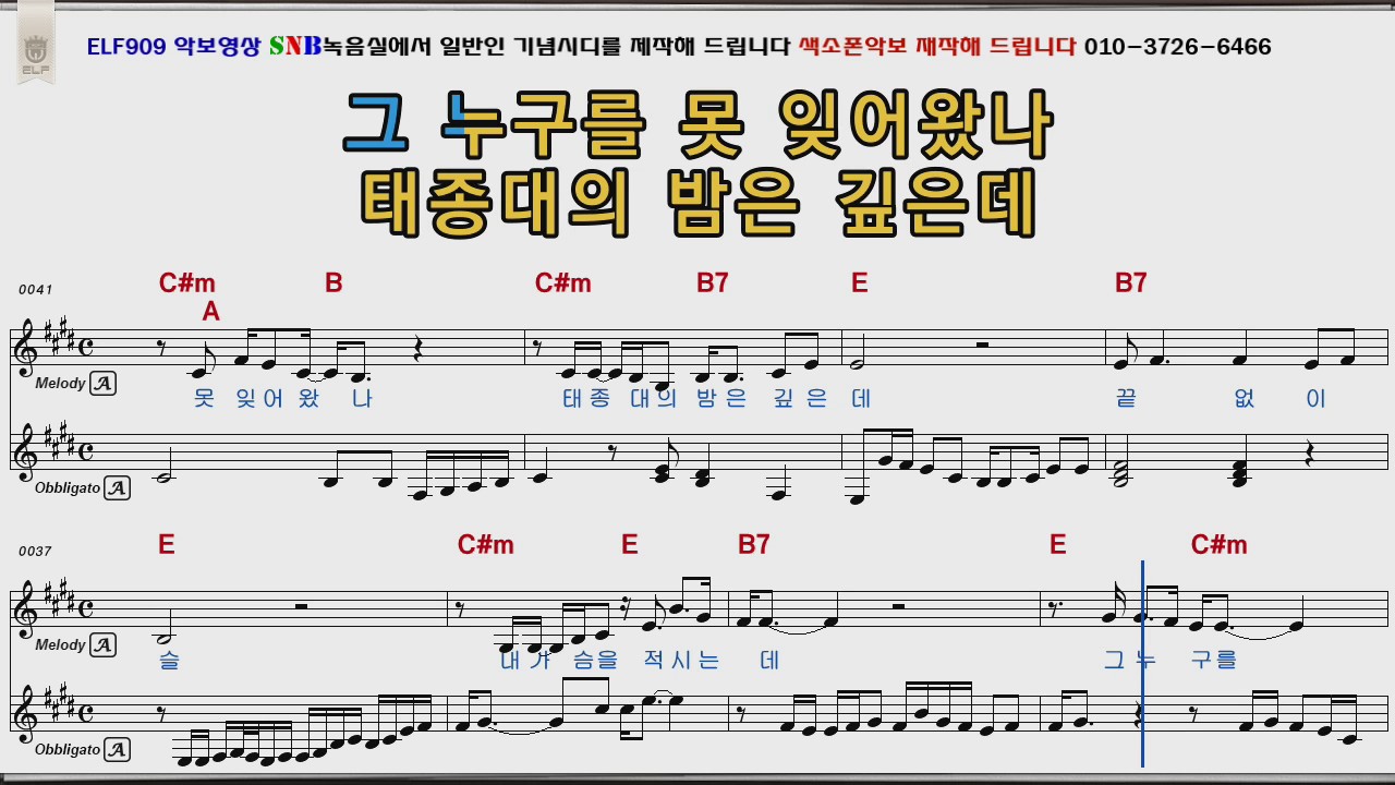 현당 태종대의밤