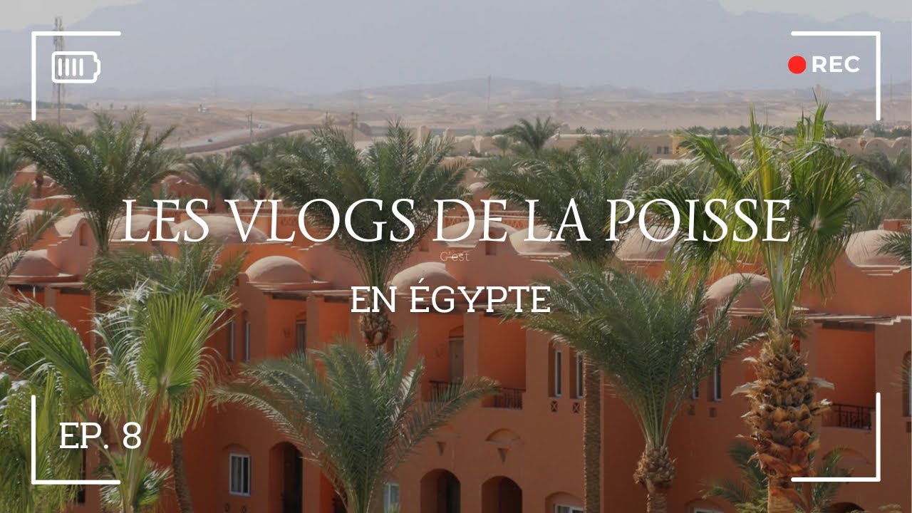 VLOGS DE LA POISSE – 8/8 - Égypte en famille : Snorkeling, derniers instants et retour en France