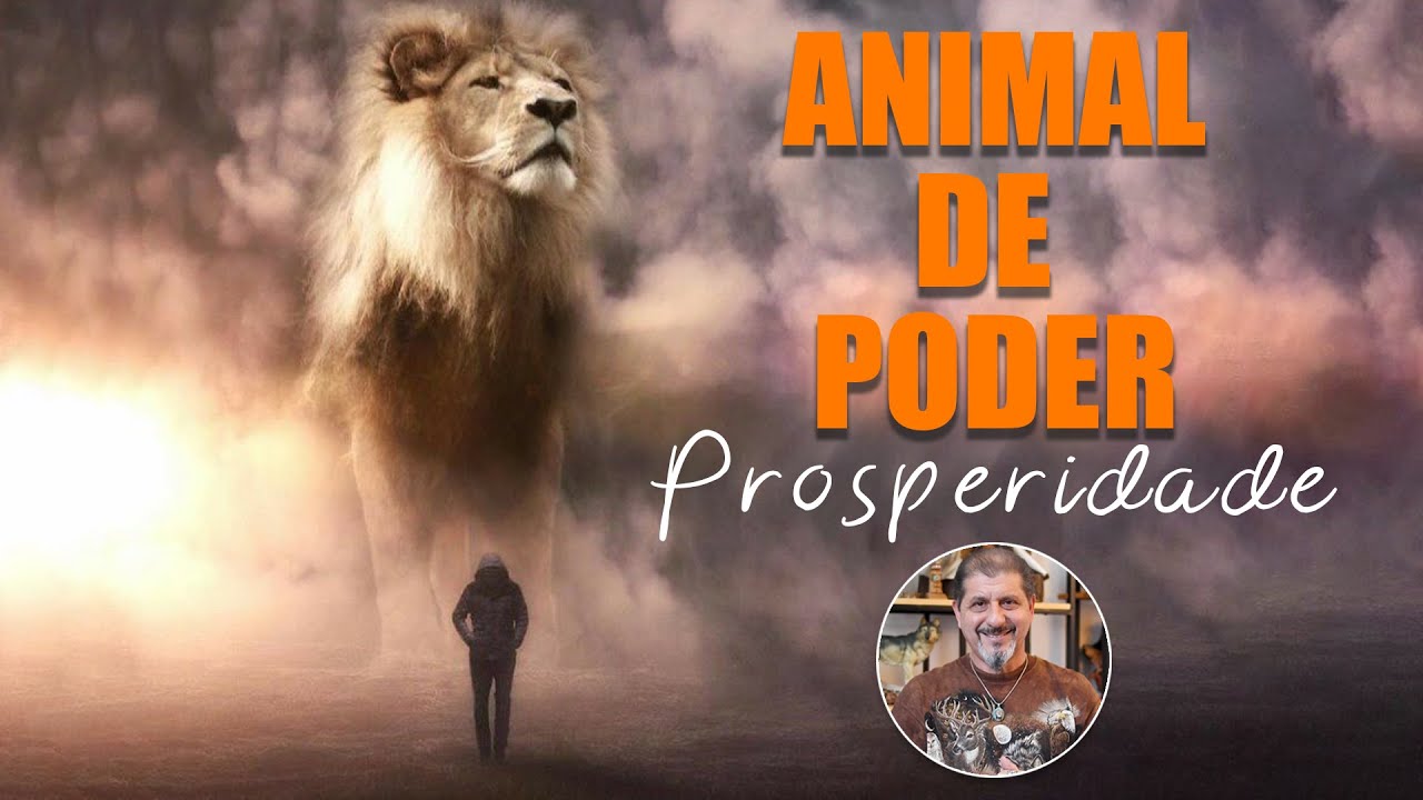 Animal de Poder - Prosperidade | Xamanismo em Você 272