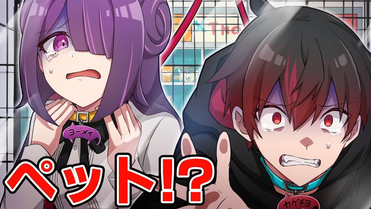 人間がペットになるとどうなるのか？【アニメ】【漫画】