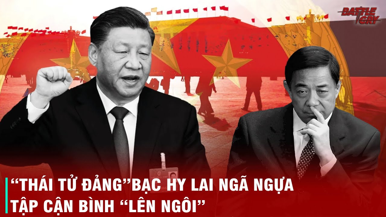 CUỘC LONG TRANH HỔ ĐẤU CỦA 