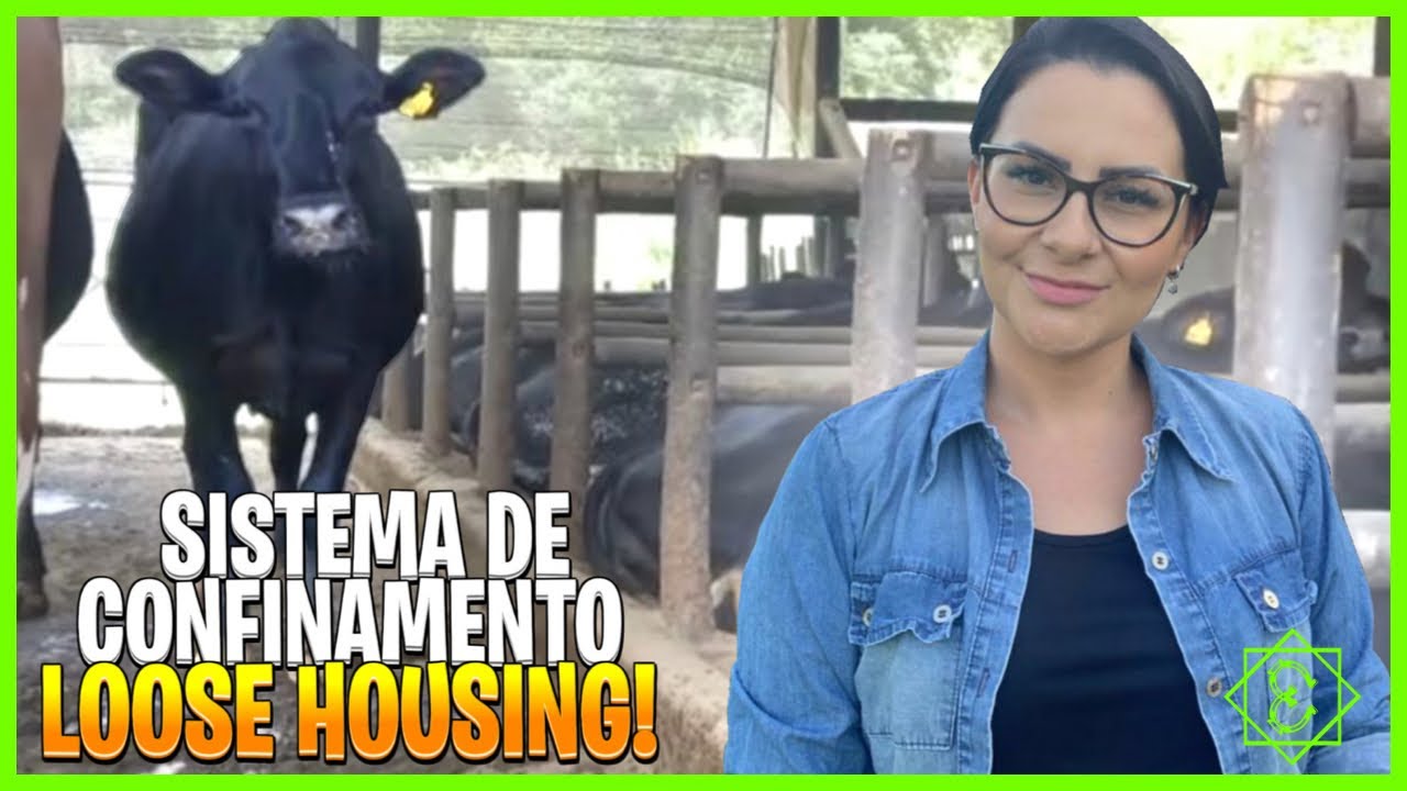 SISTEMA DE PRODUÇÃO DE LEITE COM SUSTENTABILIDADE
