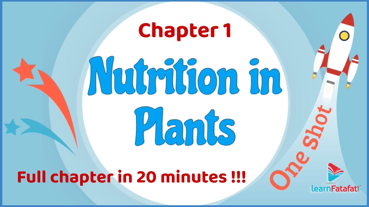 Class 7 Science Chapter 1 Nutrition in Plants | One Shot in 20 minutes !! CBSE Class 7
