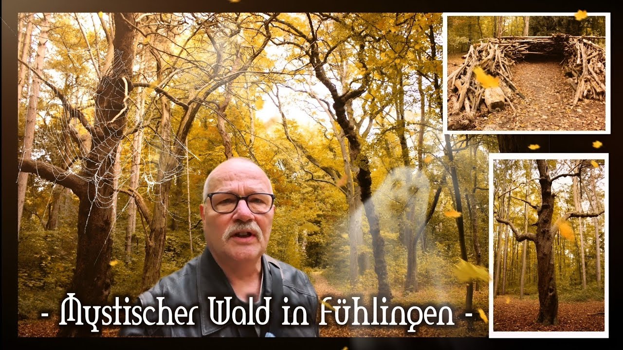 Mystischer Wald in Fühlingen