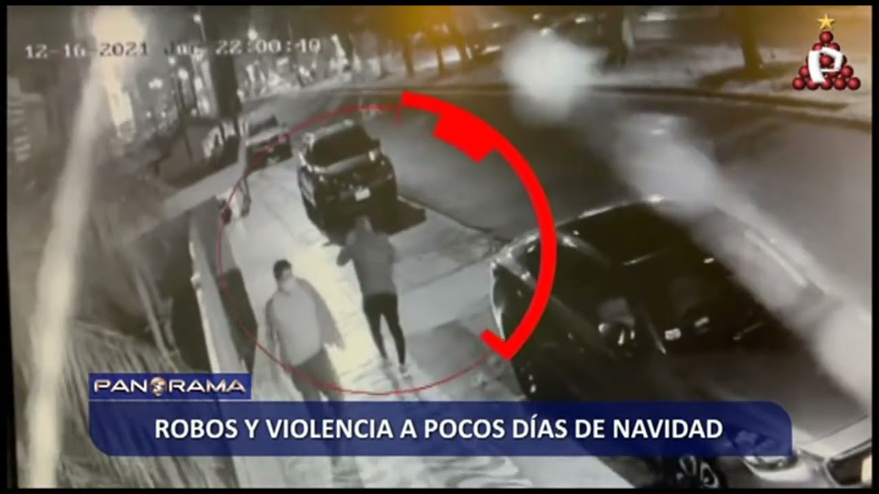 Delincuentes con chalecos de la PNP robaron productos valorizados en medio mill&oacute;n de soles