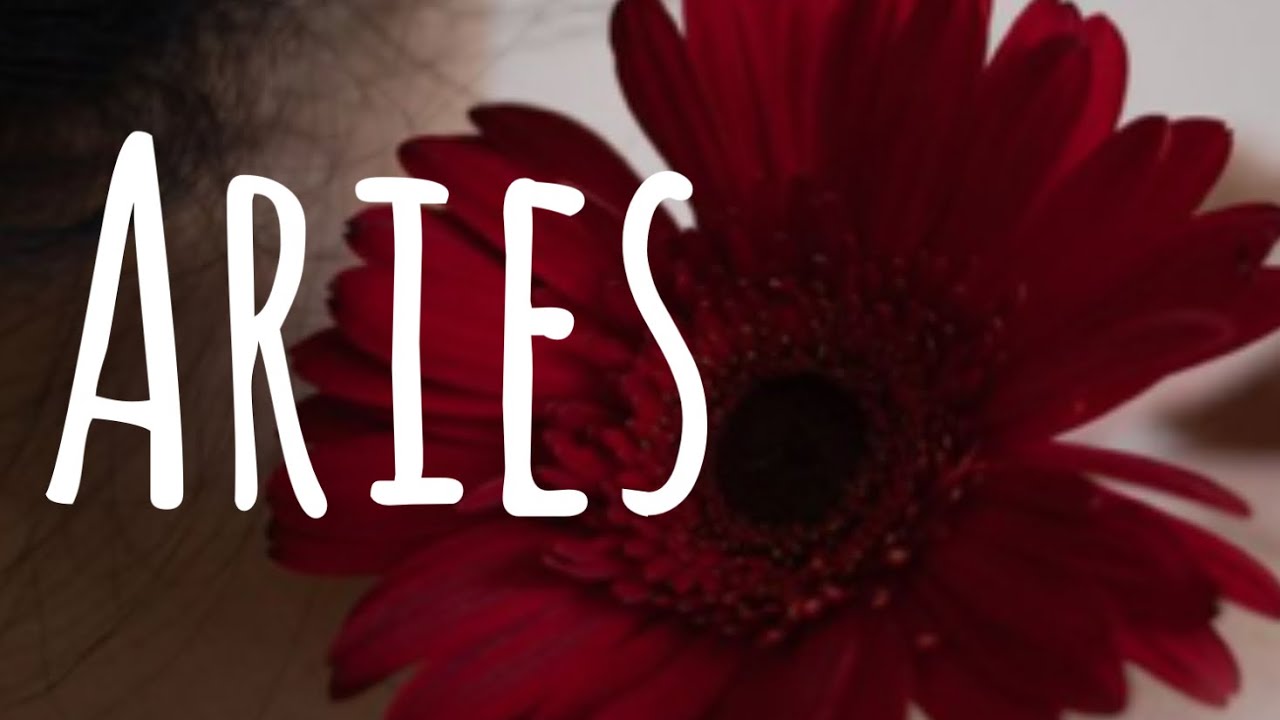 ОВЕН ♈️ То, чего вы совсем не ожидаете! 🌹