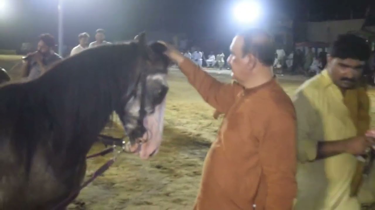 All Pakistan Horse dance Ghora Sangeet Mela Sahieal distt Sargodhaa