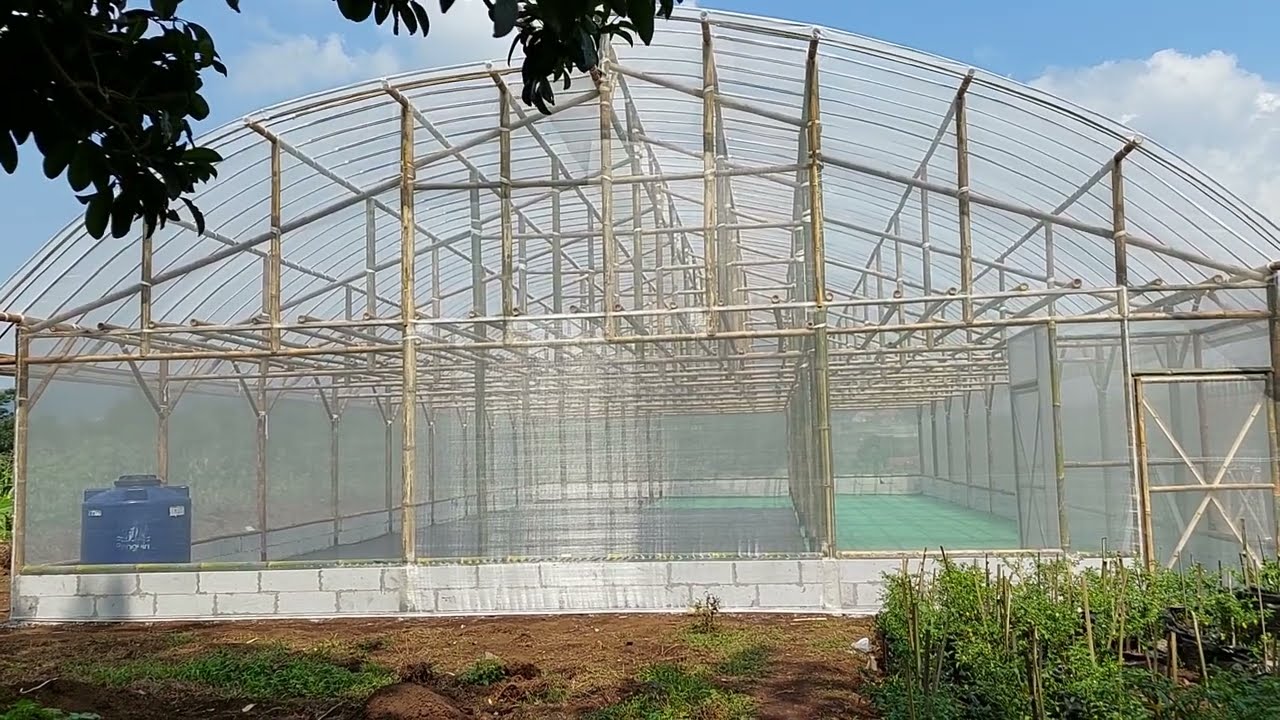 Check #greenhouse bambu sebelum pelunasan