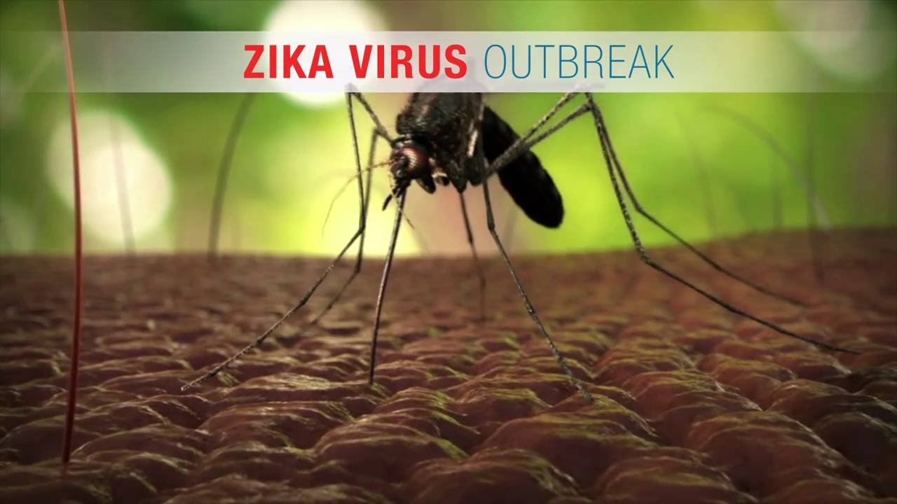 Zika Virus Animation