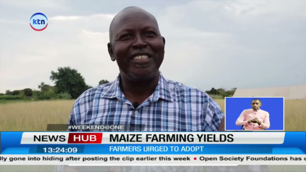 Kenya Agricultural and Livestock Research Organization urges ASAL farmers to ditch maize farming