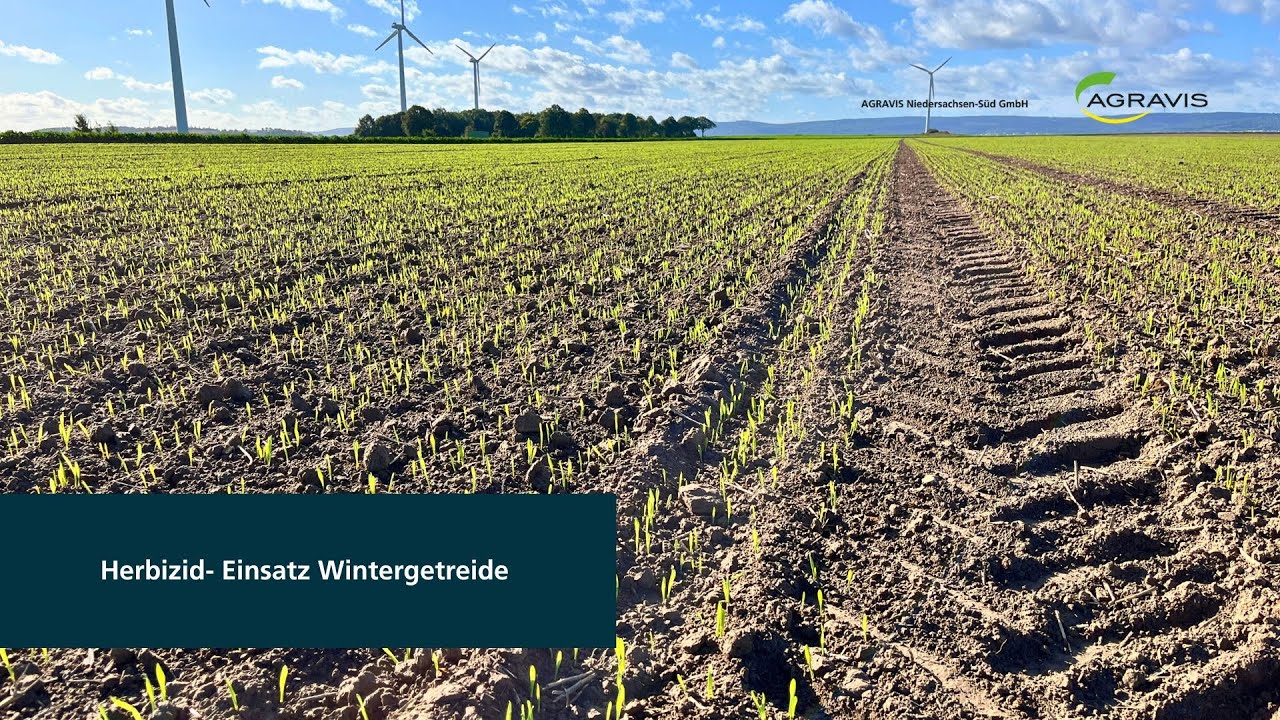 Pflanzenbau aktuell - AGRAVIS Niedersachsen-S&uuml;d GmbH