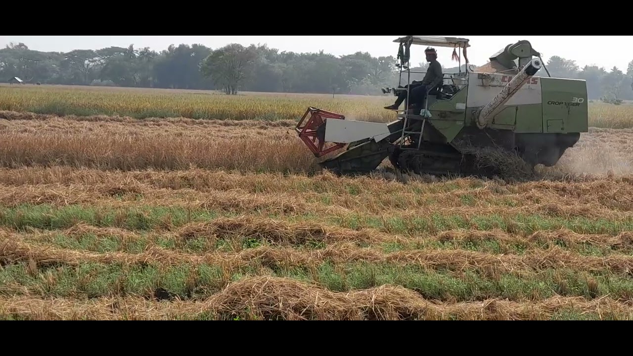 8/2/26 152 Day's Farming Finished🌾🌾#trend #viralshorts#farming #agrifuture #reels #reelsfb #trending