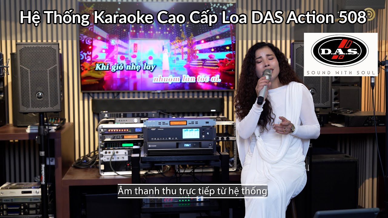 Hệ Thống Karaoke Cao Cấp Loa DAS Action 508 + Subwoofer JBL IRX 115S Ghép Dynacord L2800 FD