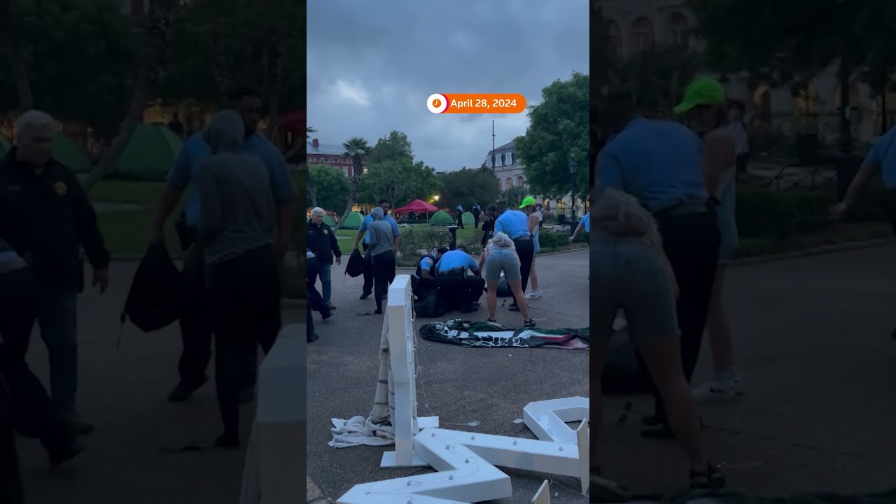 Pro-Palestinian protesters clash with police in New Orleans #protest #shorts
