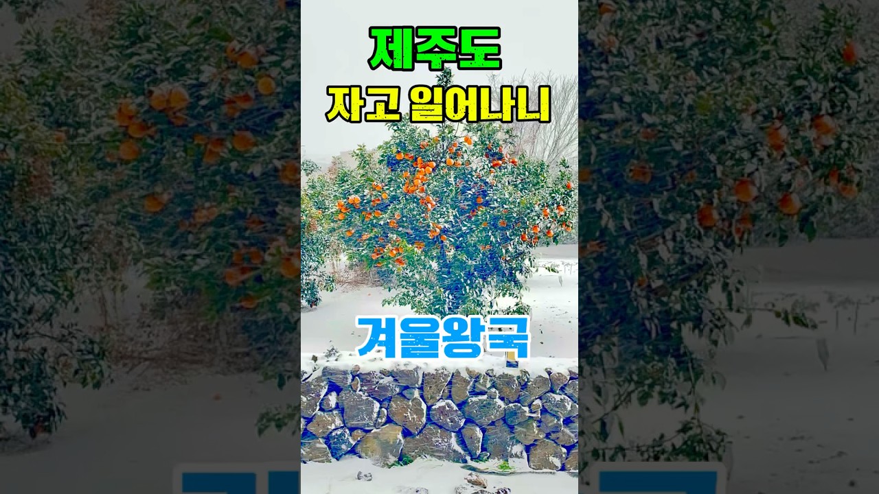 그냥 보고만있어도 힐링됩니다.