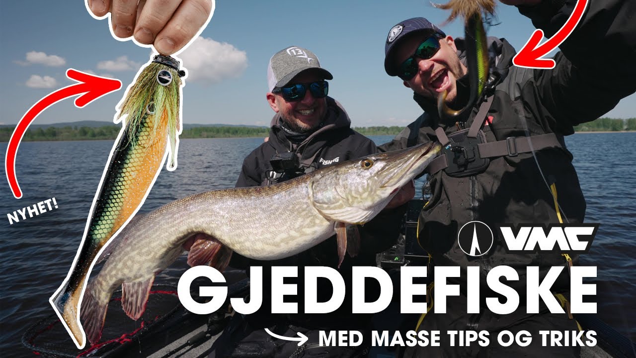Gjeddefiske med nye VMC produkter - Masse tips & triks!
