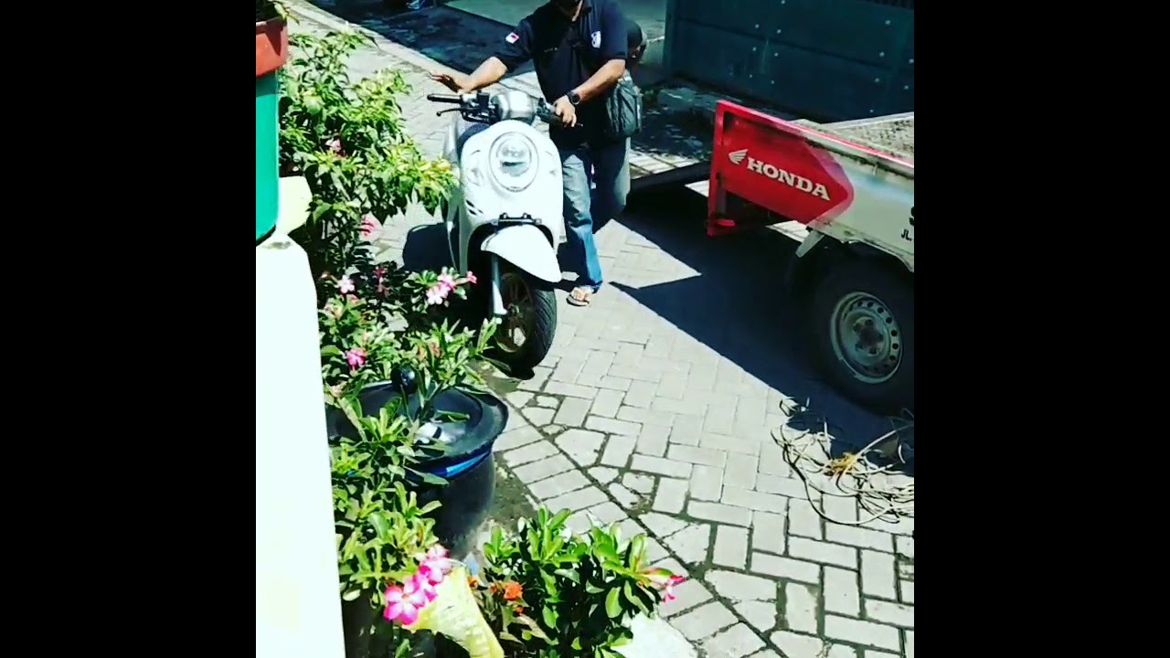all new honda scoopy 2021 prestige