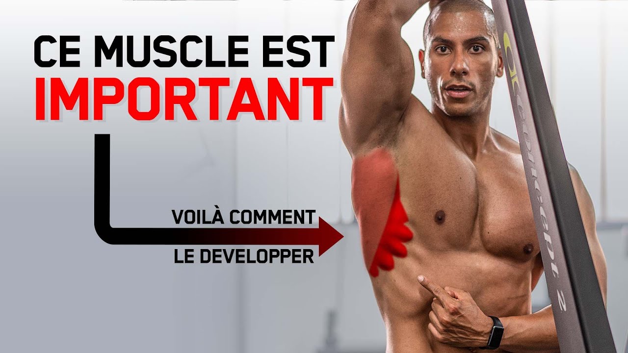 Il FAUT travailler ce MUSCLE (Dentelé antérieur)